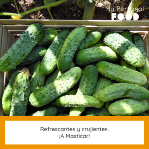 Pepino Alimentos Ricos en Fibra para Prevenir el Estreñimiento en Niños