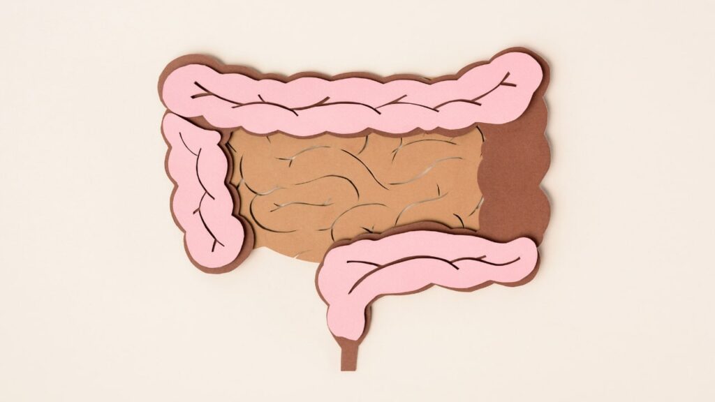 Flora intestinal saludable gracias a los alimentos fermentados