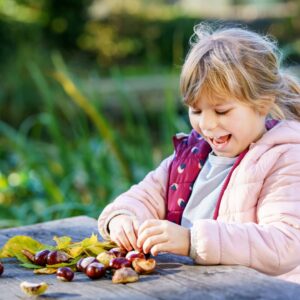 Beneficios y precauciones de las castañas en la alimentación infantil