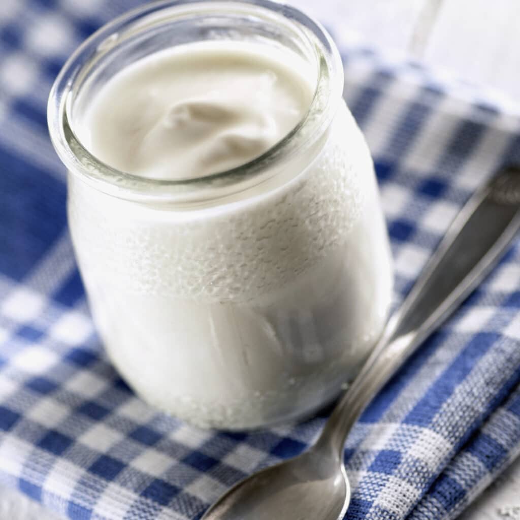 alimentos fermentados para niños