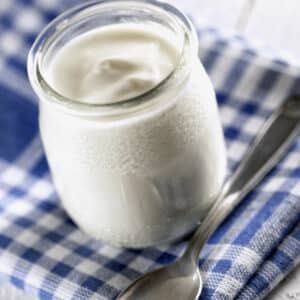 alimentos fermentados para niños